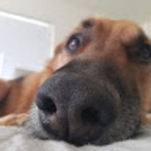 Meet your Posher, Brittney